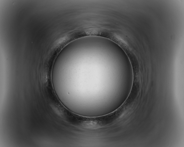 X0000086720687200704201627