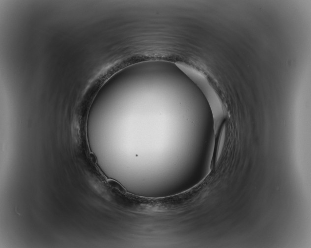 X0000086720688200704201627