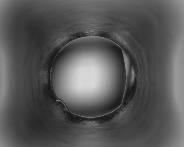 X0000086720689200704201627