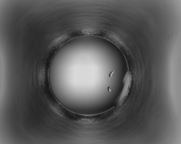 X0000086720690200704201627