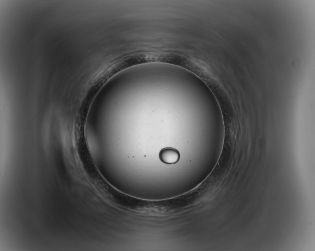 X0000086720691200704201627
