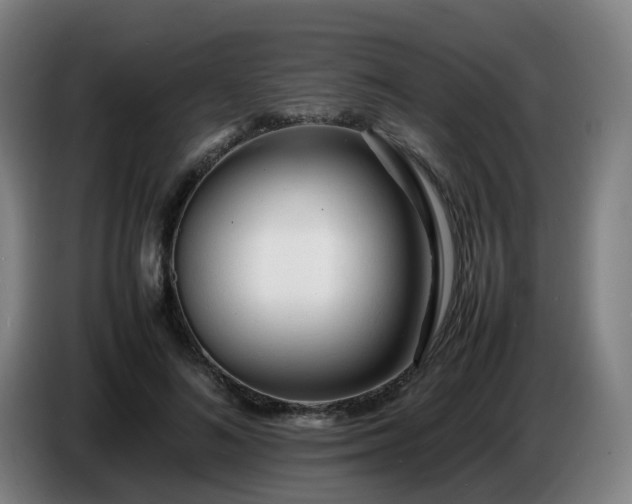 X0000086720692200704201627
