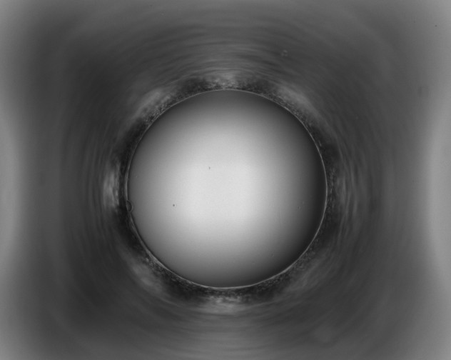 X0000086720694200704201627
