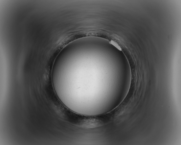 X0000086720695200704201627