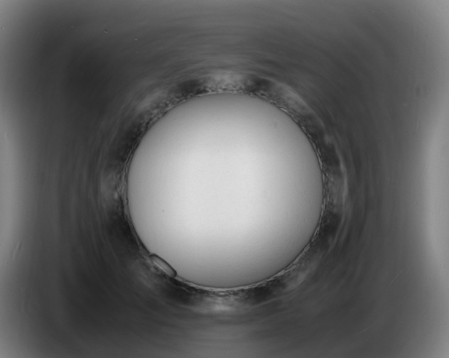 X0000086720701200704201627