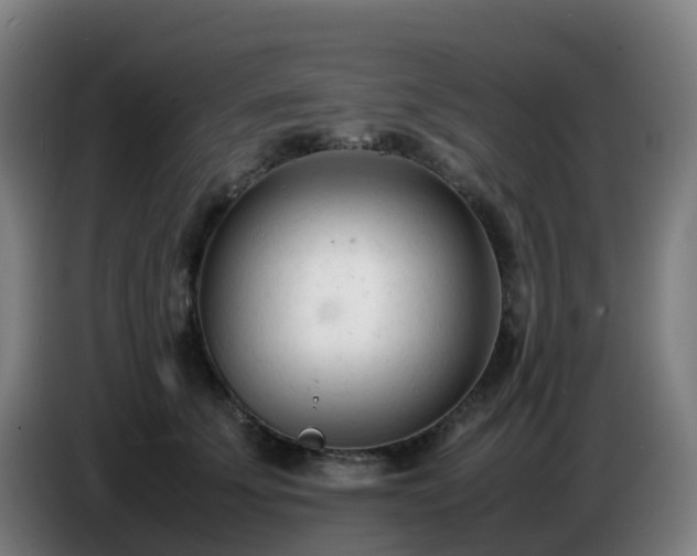 X0000086720707200704201626