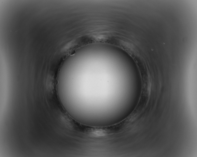 X0000086720710200704201626