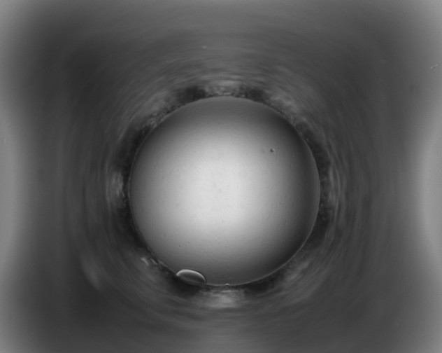X0000086720711200704201626