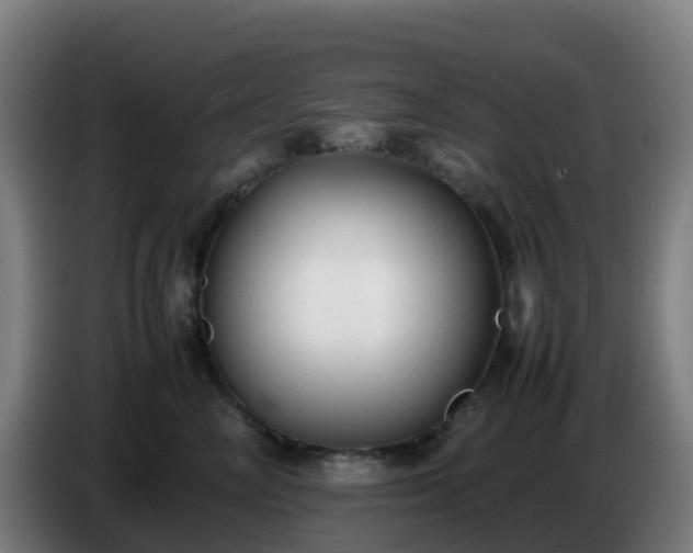 X0000086720714200704201626