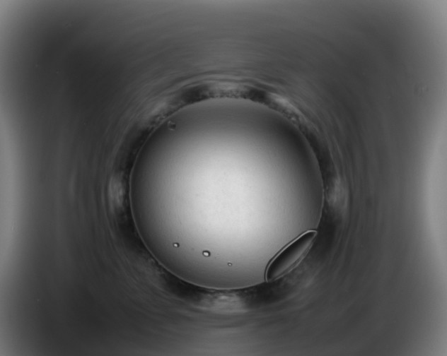 X0000086720715200704201626