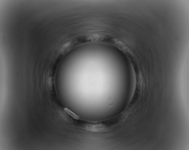 X0000086720716200704201626