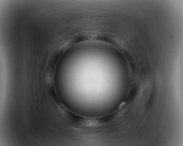 X0000086720719200704201626
