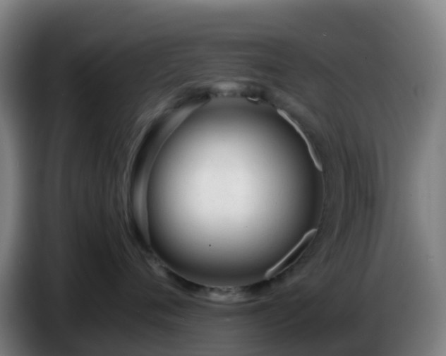 X0000086720720200704201626