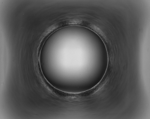 X0000086720721200704201626