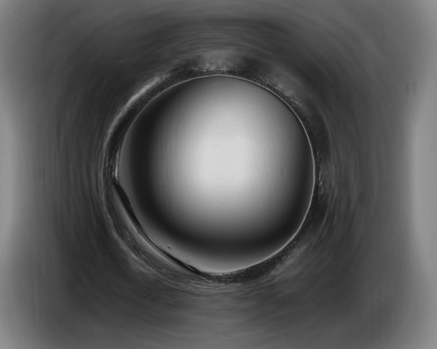 X0000086720722200704201626
