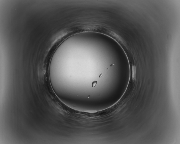 X0000086720723200704201626