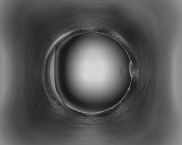 X0000086720724200704201626