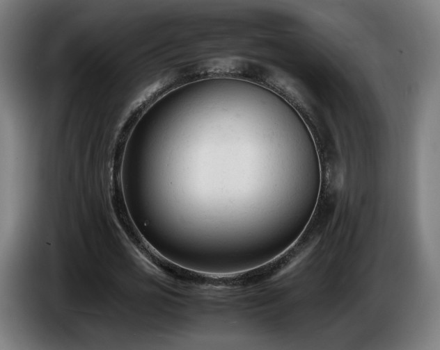 X0000086720725200704201626