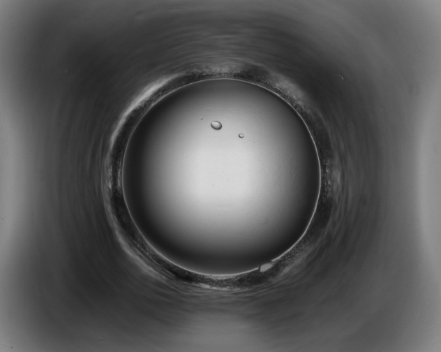 X0000086720726200704201626