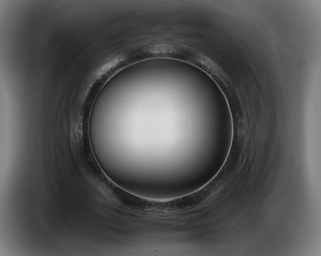 X0000086720727200704201626