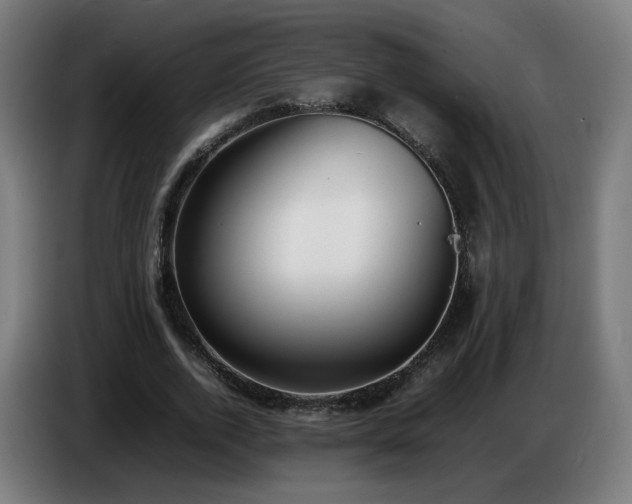 X0000086720728200704201626