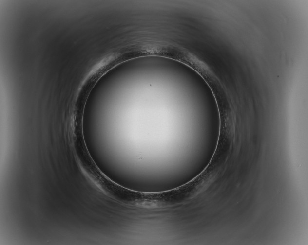 X0000086720730200704201626