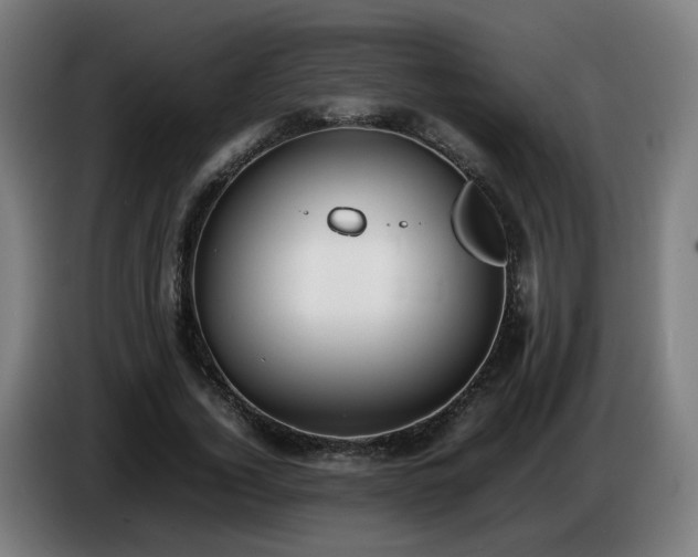 X0000086720732200704201626