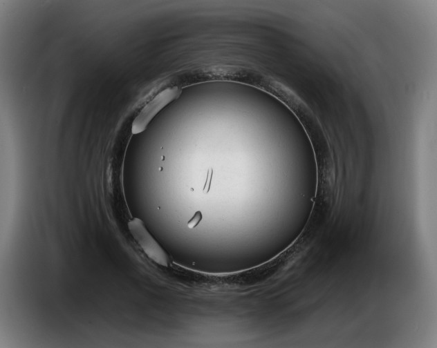 X0000086720734200704201626