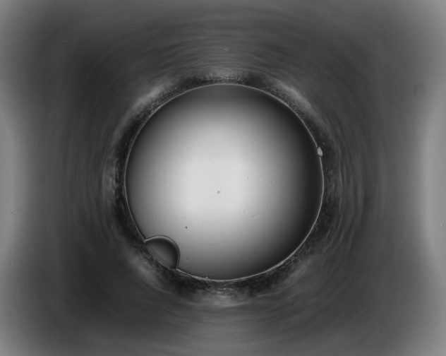 X0000086720736200704201626