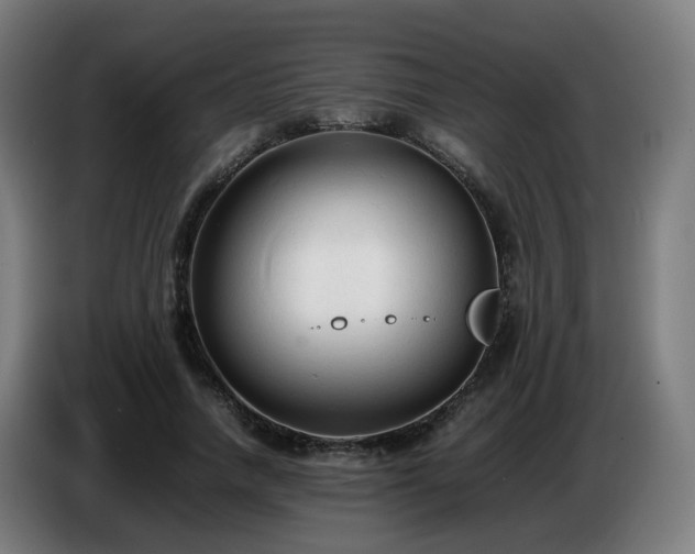 X0000086720738200704201626