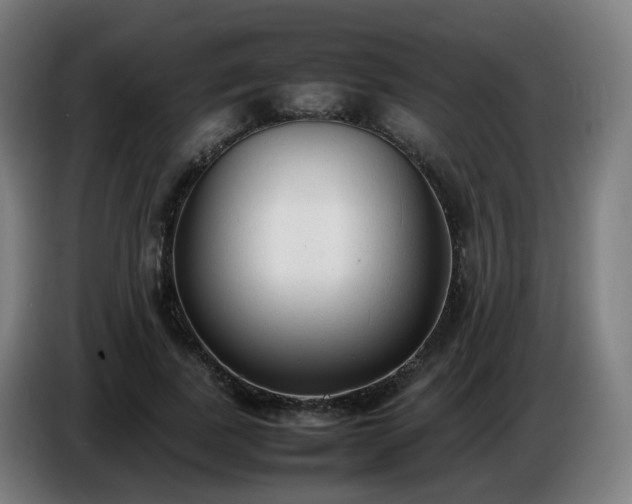 X0000086720739200704201626