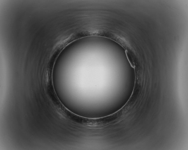 X0000086720740200704201626