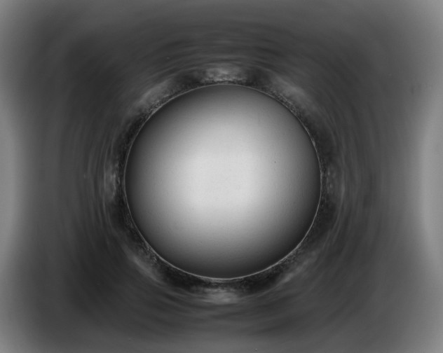 X0000086720741200704201626