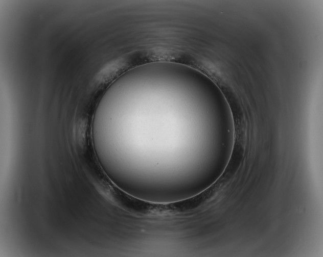 X0000086720742200704201626