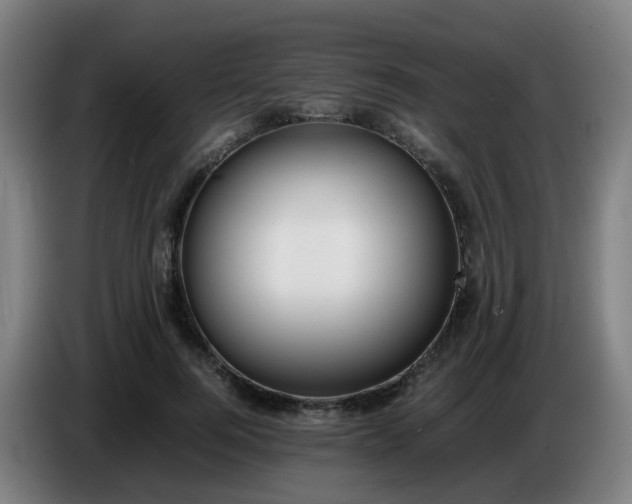 X0000086720744200704201626