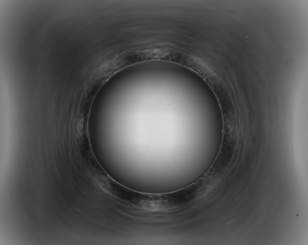 X0000086720745200704201626