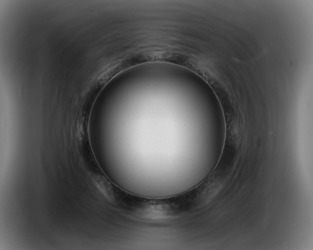 X0000086720746200704201626