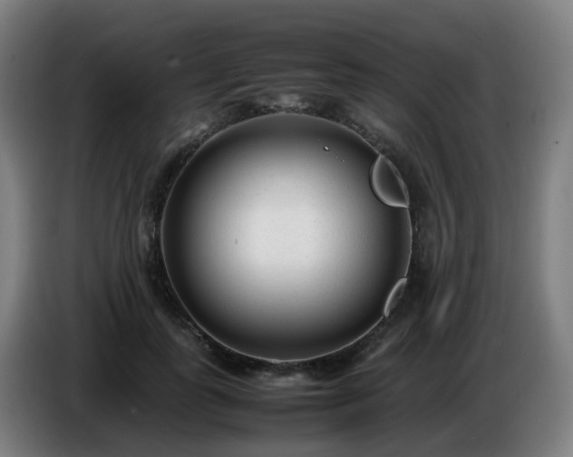 X0000086720747200704201626