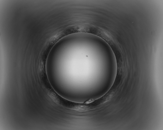 X0000086720748200704201626