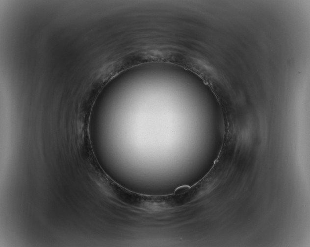 X0000086720749200704201626