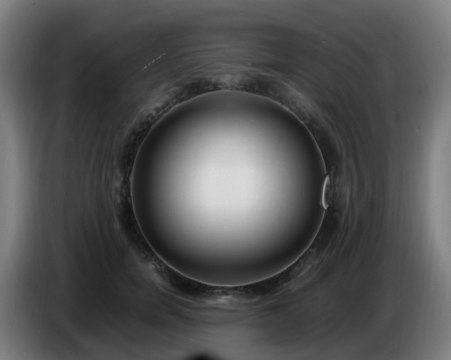 X0000086720750200704201626