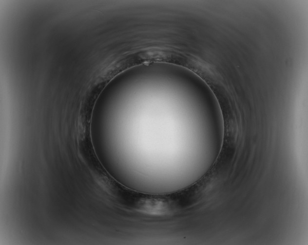 X0000086720751200704201626