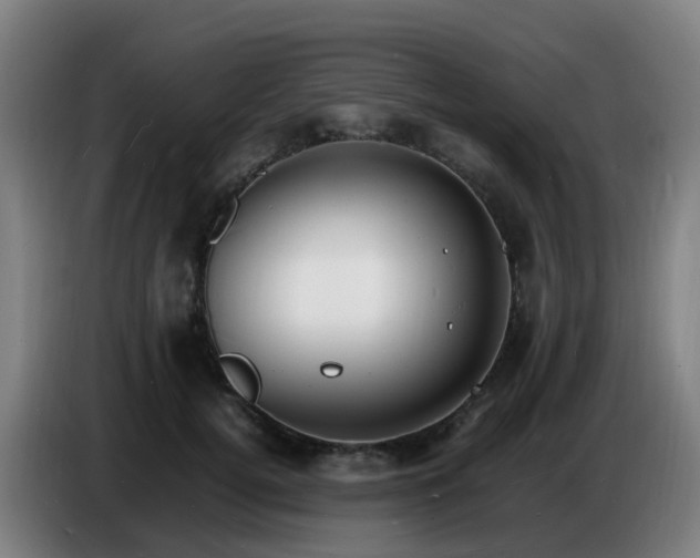 X0000086720752200704201626