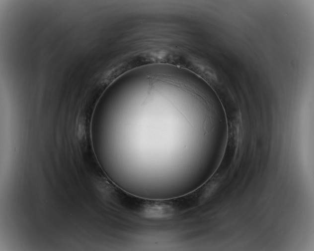 X0000086720754200704201626