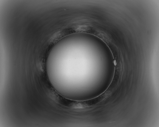 X0000086720755200704201626