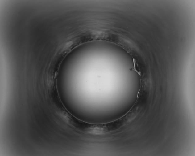 X0000086720756200704201626