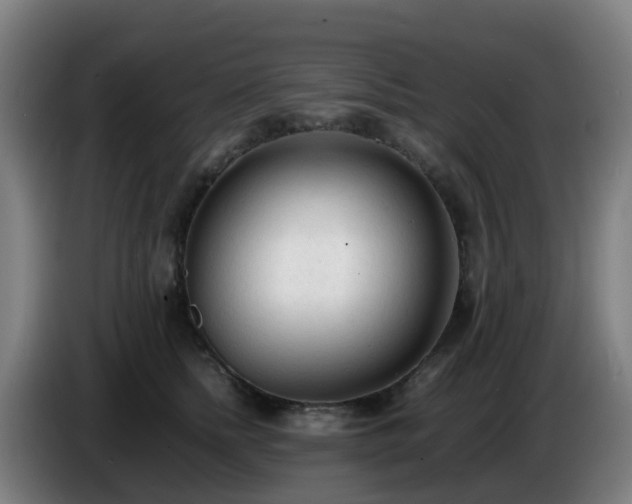 X0000086720758200704201626