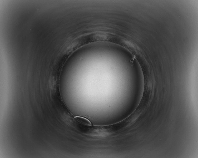 X0000086720759200704201626