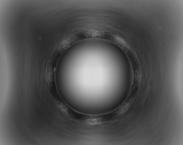 X0000086720760200704201626