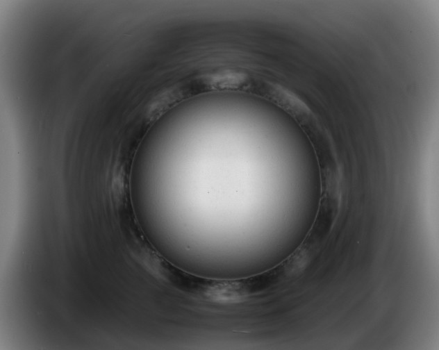 X0000086720761200704201626